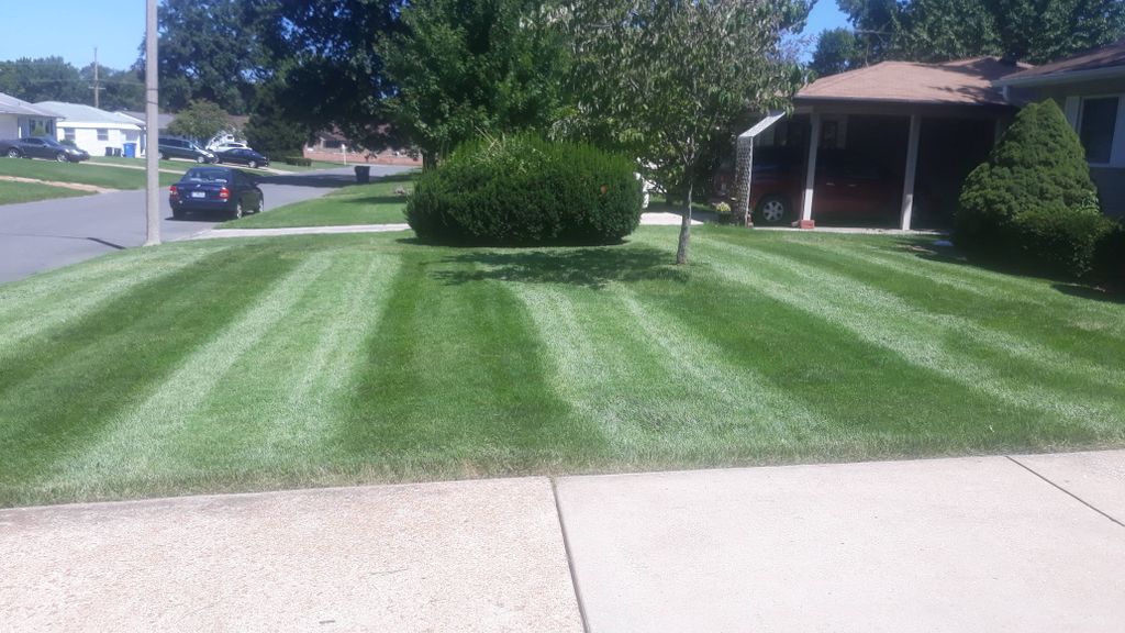 Beautiful cut and striped lawn