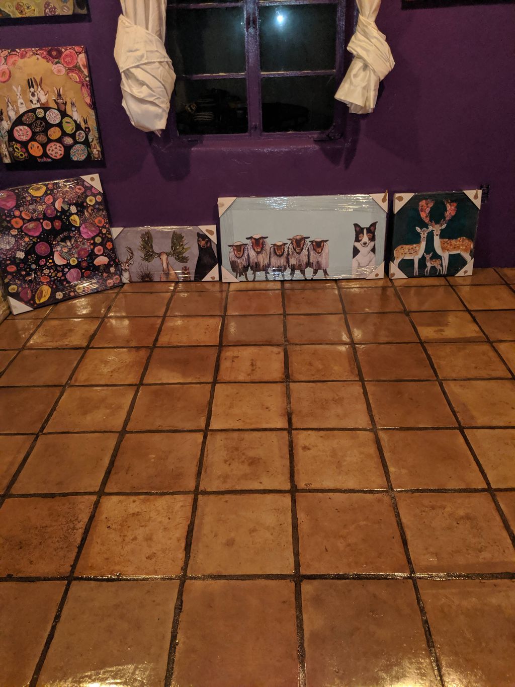 Customer photos