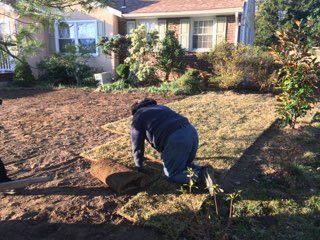 Sod Installation