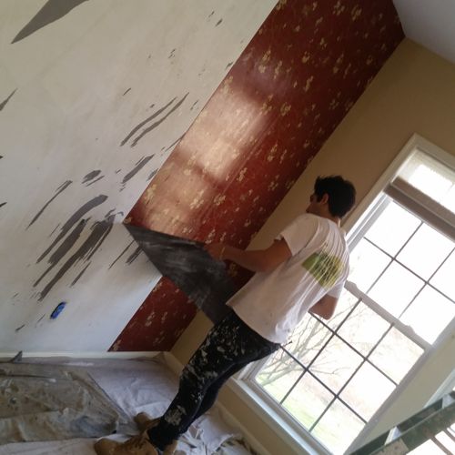 Wall Paper Remove (Kennett Square)