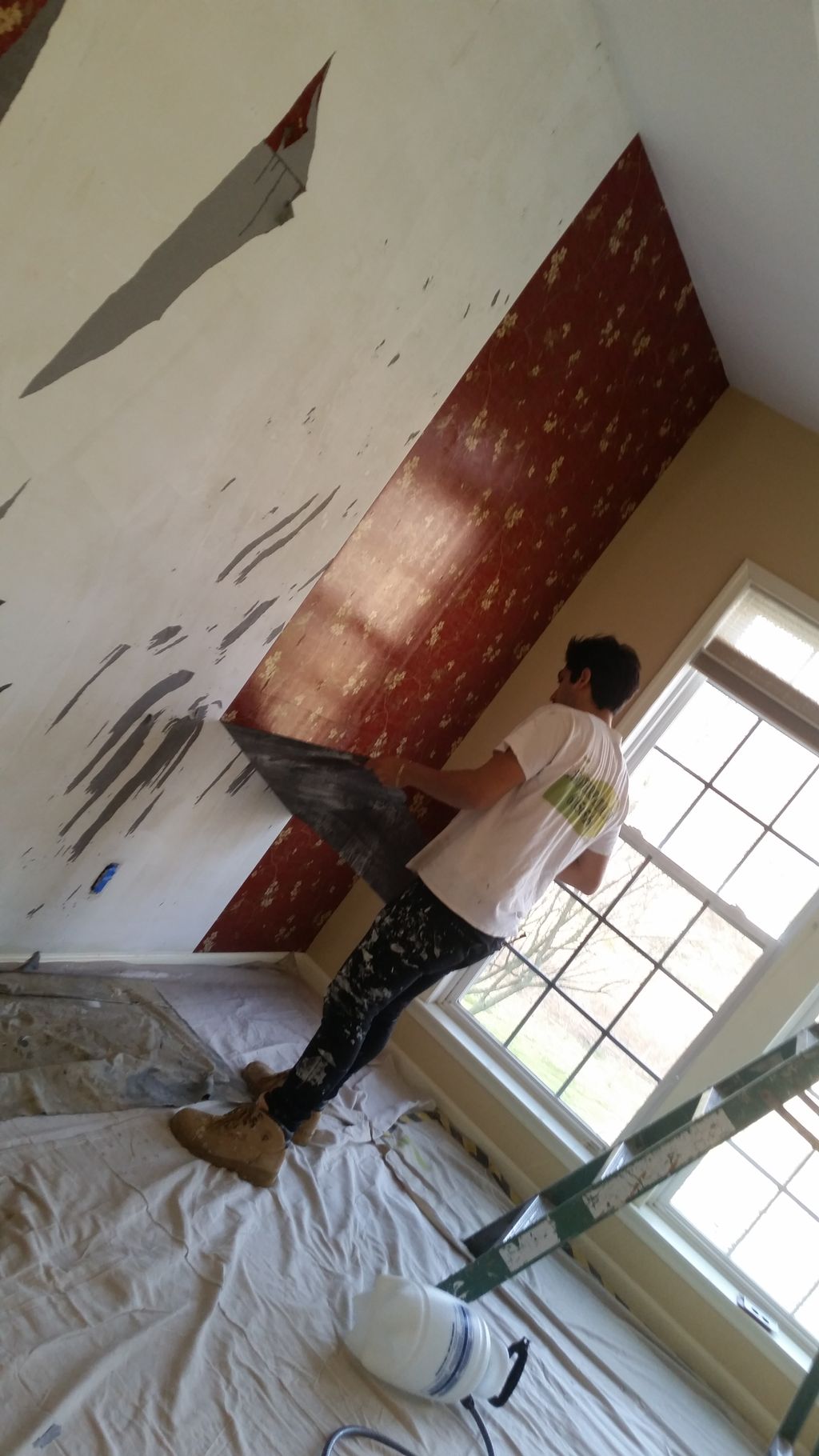 Wall Paper Remove (Kennett Square)