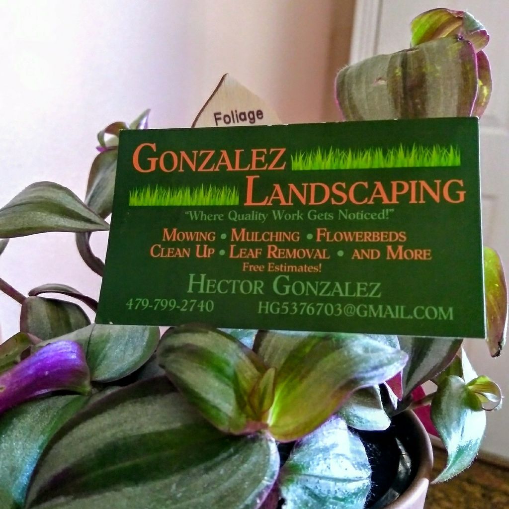 Gonzalez landscaping