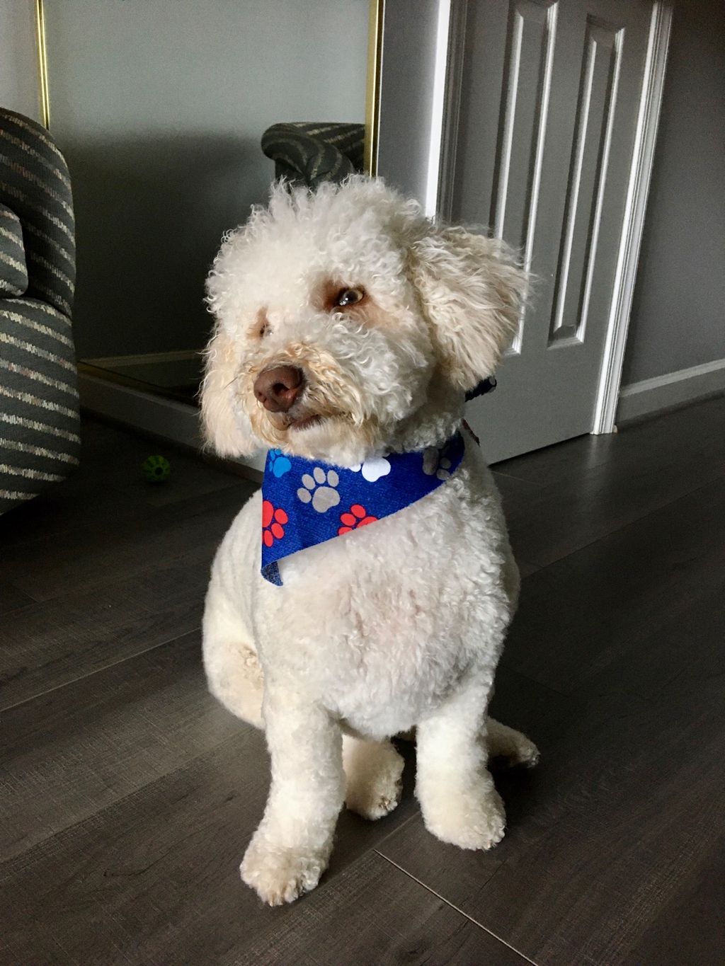 Customer photos