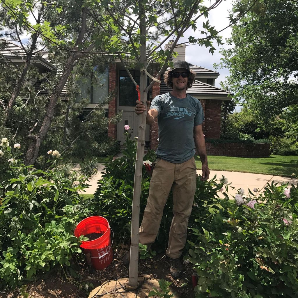 Johnny Apple Tree Care