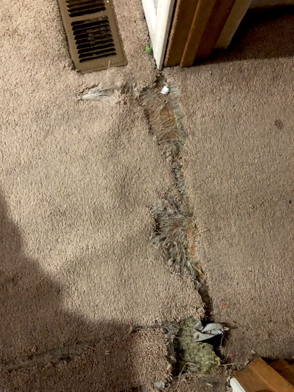 Customer photos