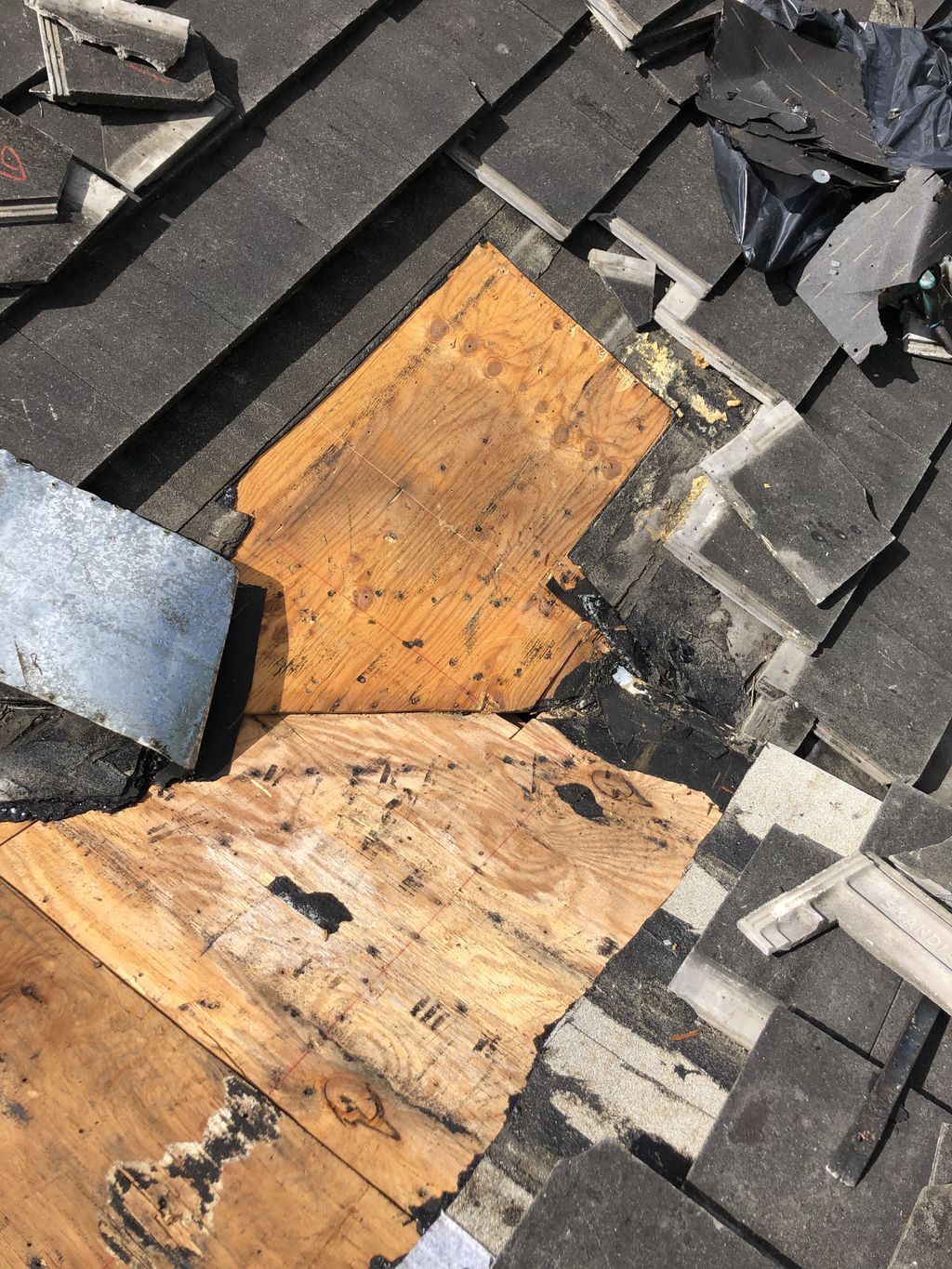 Roof Repair or Maintenance