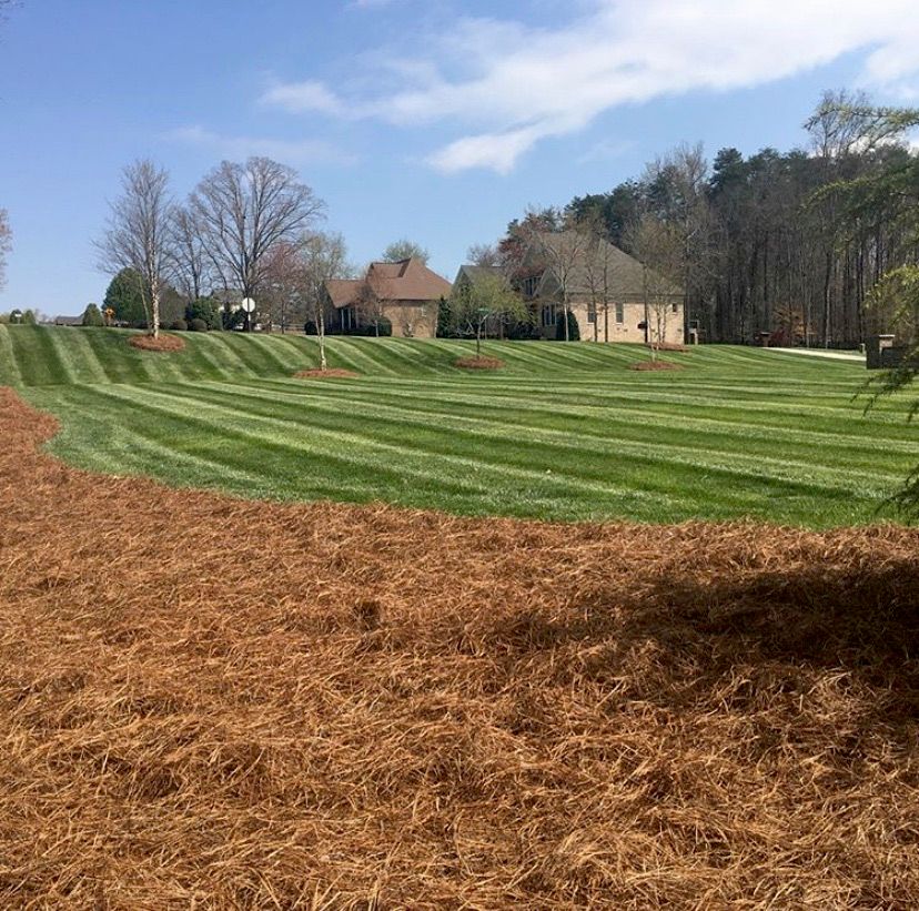 Carolina Cuts Lawn Care