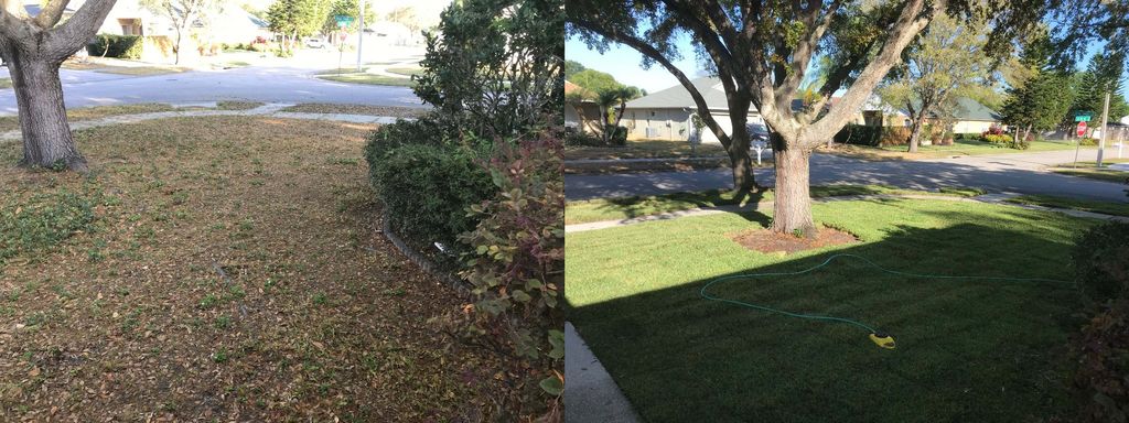 Customer photos