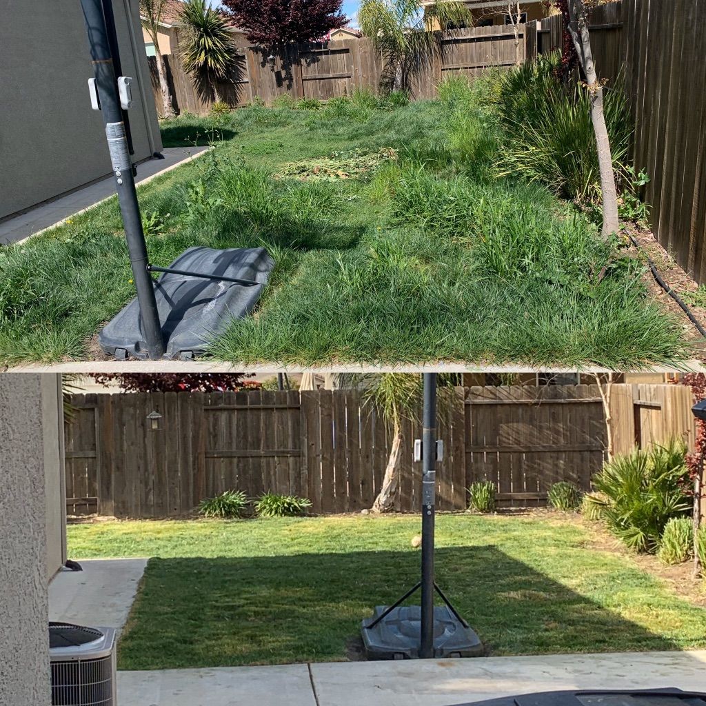 This backyard hasn’t been done in a while !