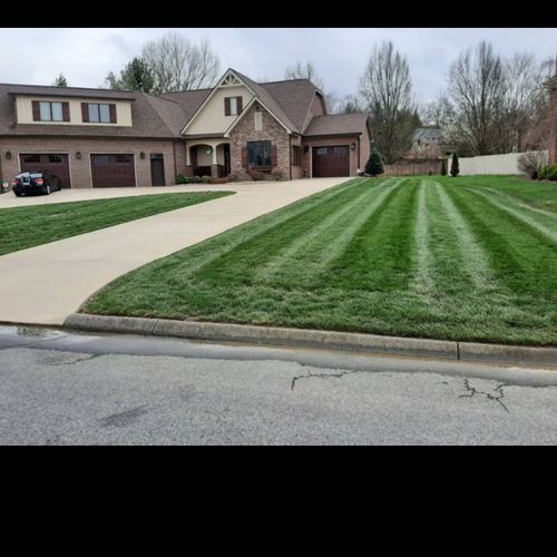 Recently mowed lawn