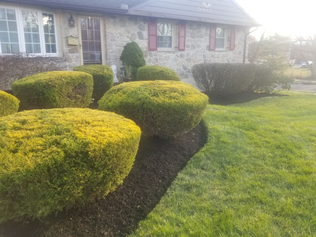 Lawn Mowing and Trimming