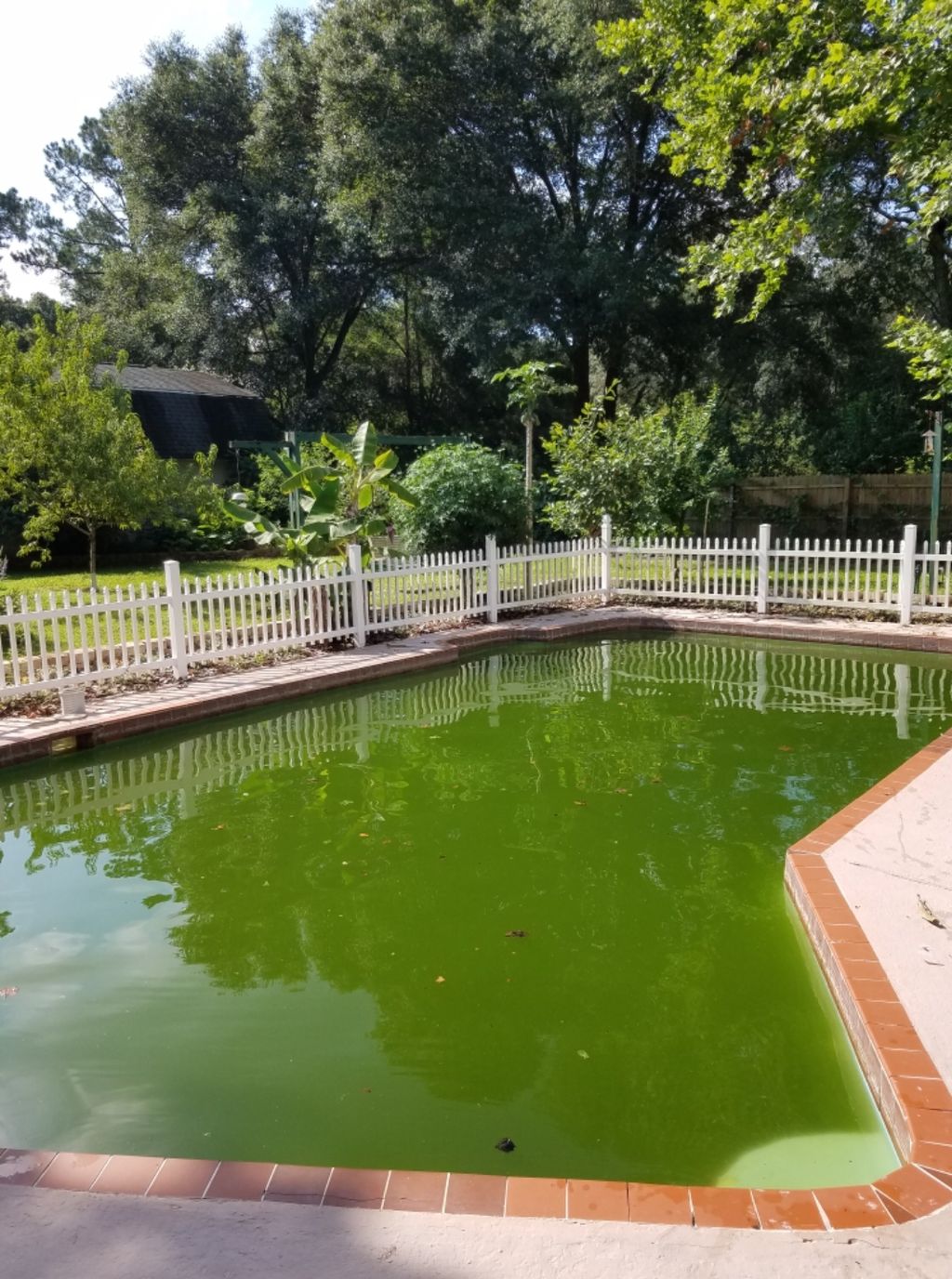 Green to clean  in 24 hours