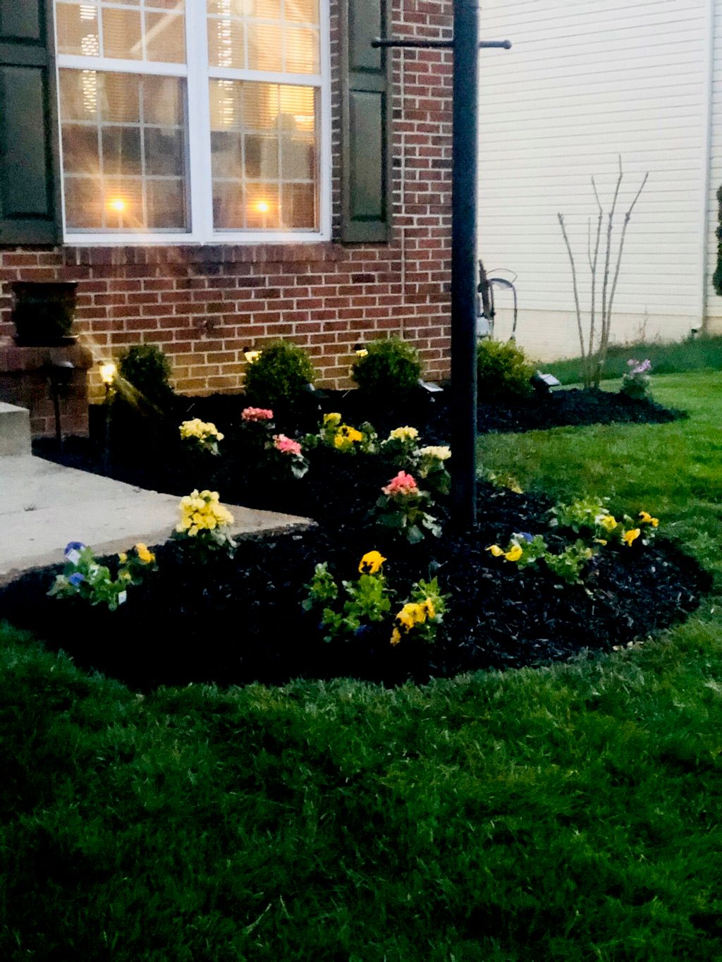 Customer photos