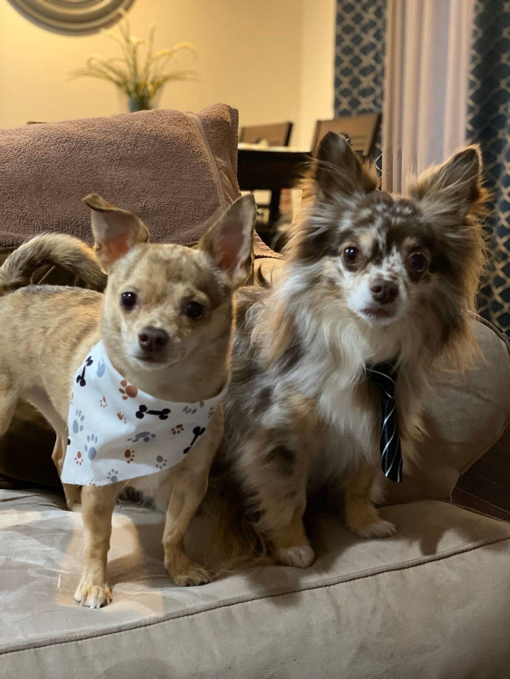 Customer photos