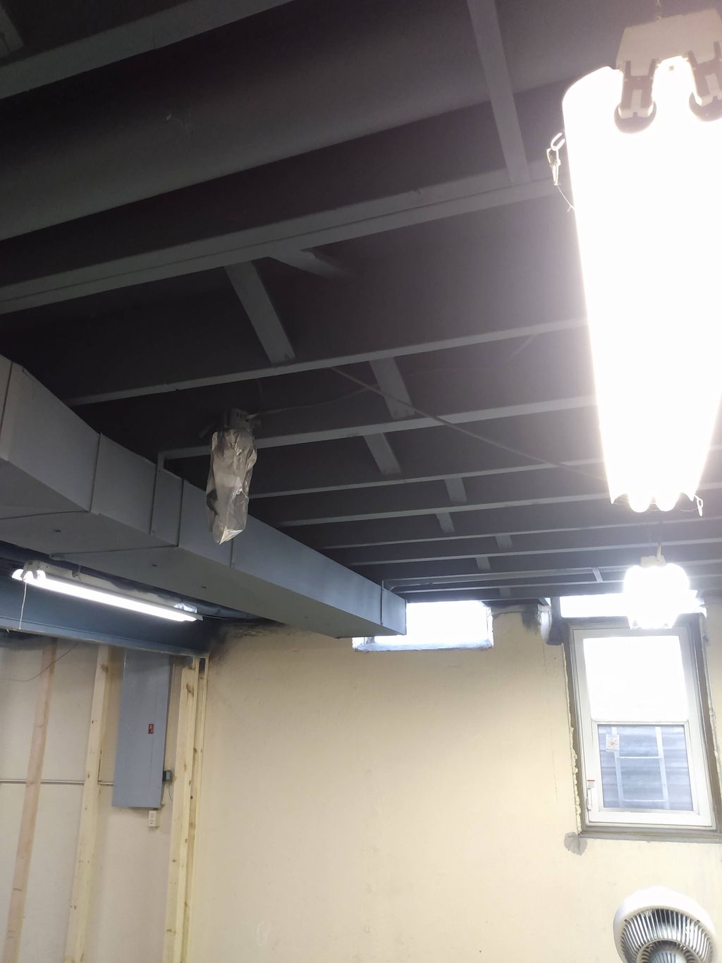 basement ceiling