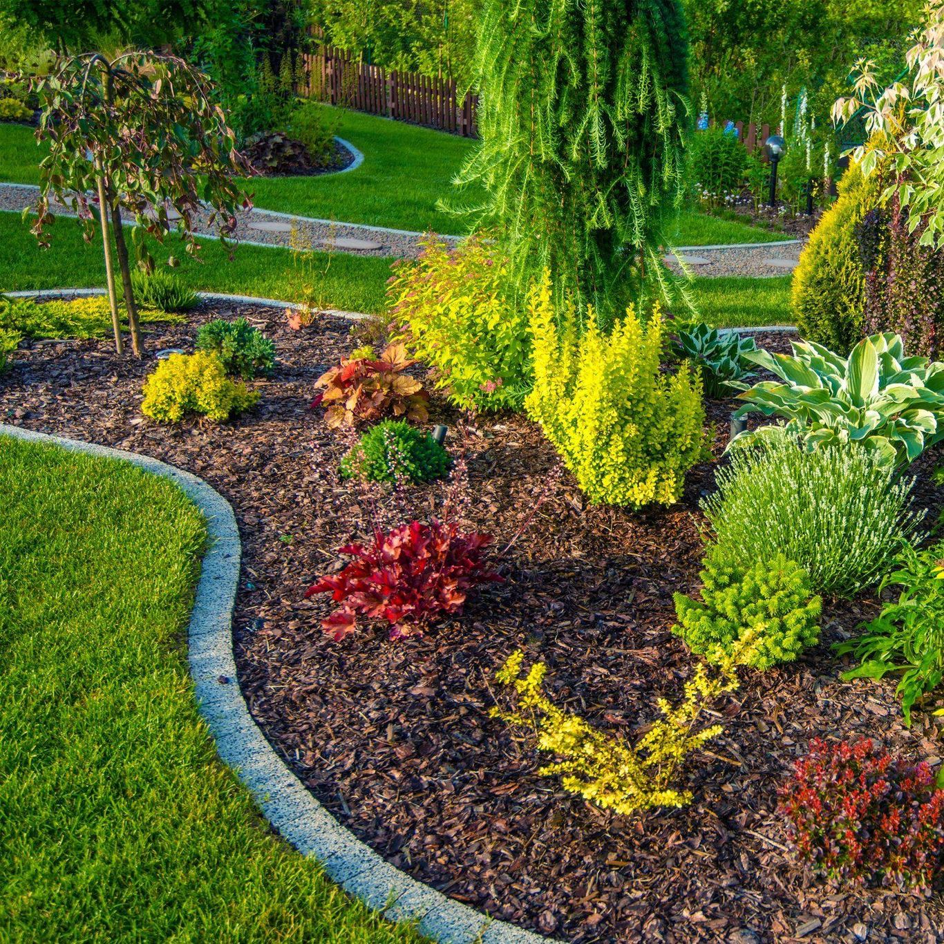 Al Landscaping Llc Renton, WA Thumbtack