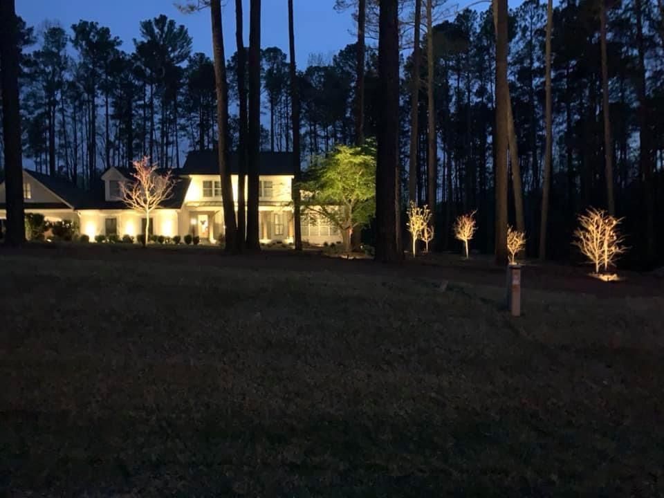 Outdoor Landscape Lighting