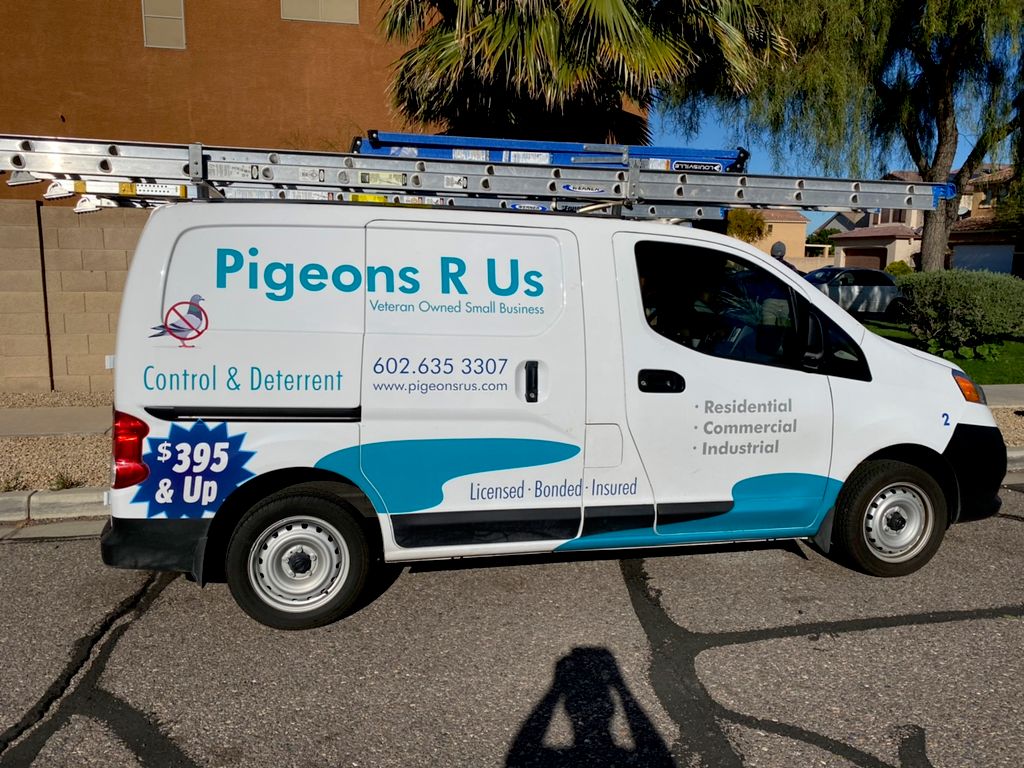 Pigeons R Us