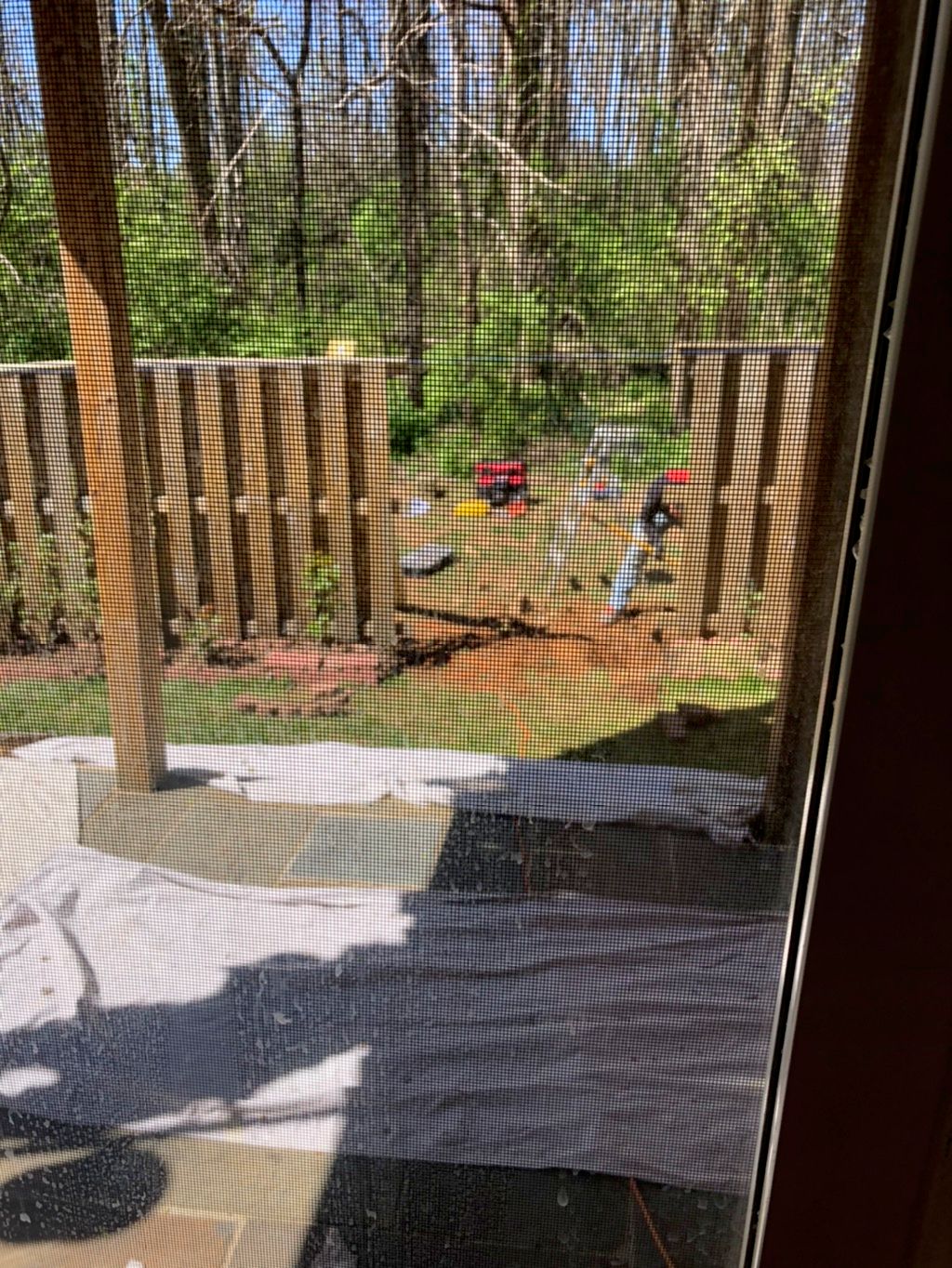 Customer photos