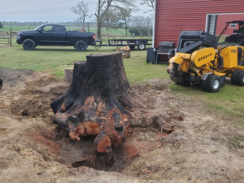 Tree Stump Grinding and Removal