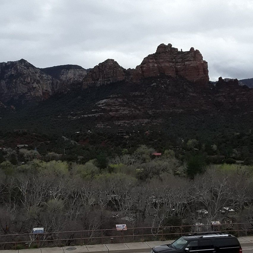 Rodriguez 360 Landscaping