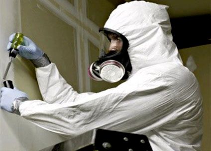 Mold Remediation