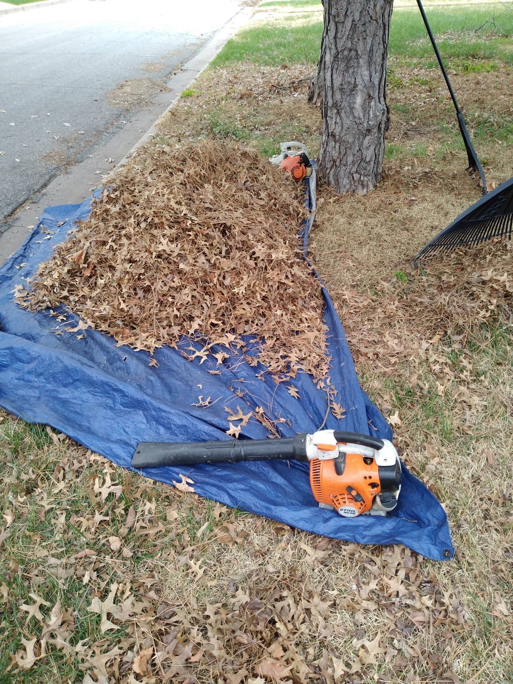 We can take care of the leaves that are clogging u