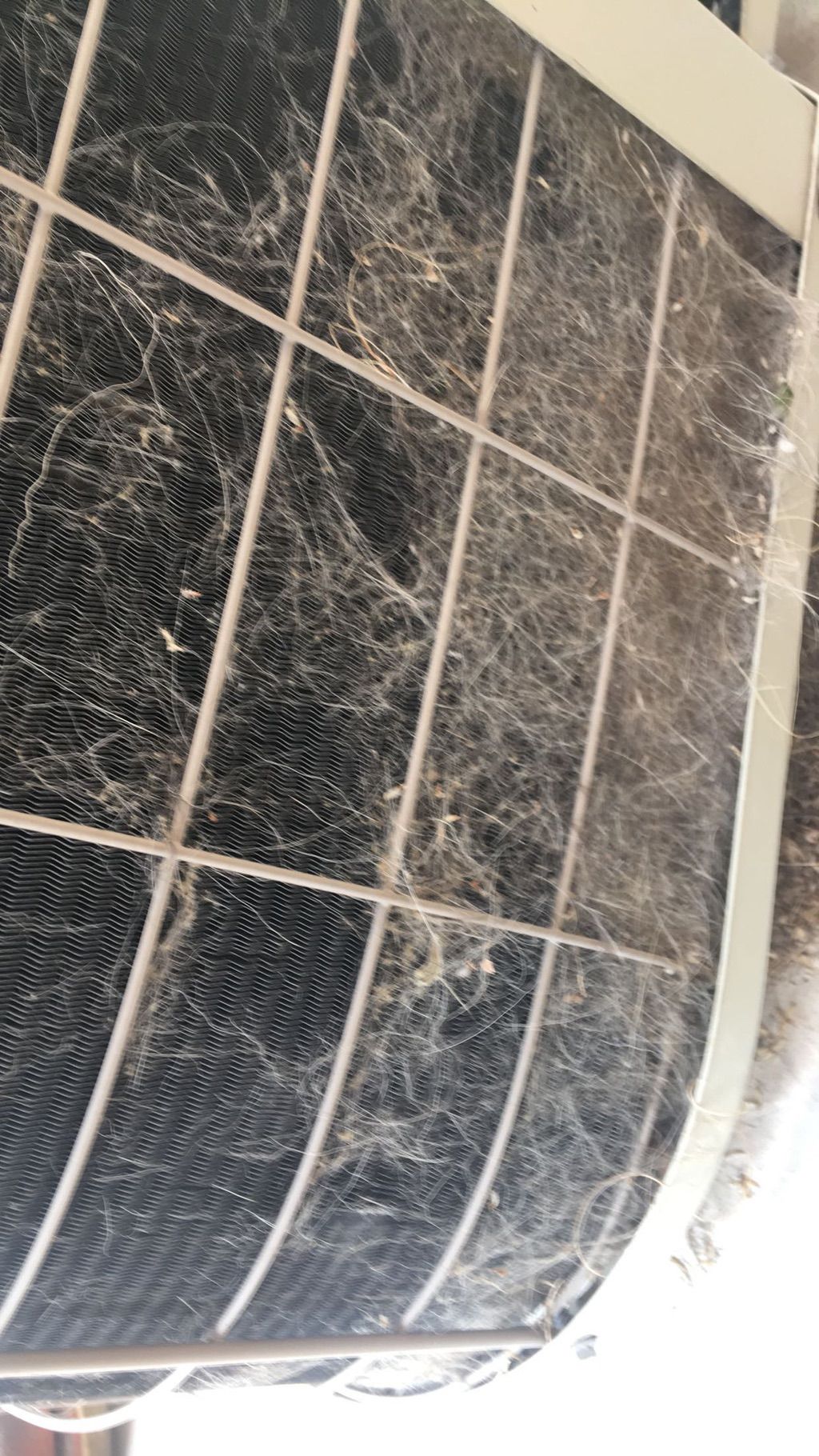 Dog hair will clog up your outdoor condenser prett