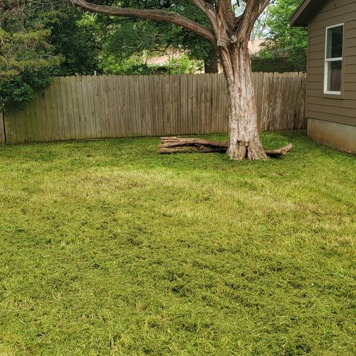 Lawn Mowing and Trimming