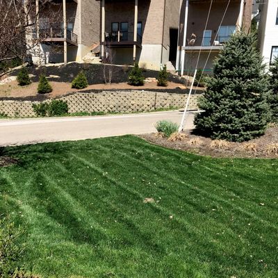 Avatar for Kurb Appeal Lawn Care