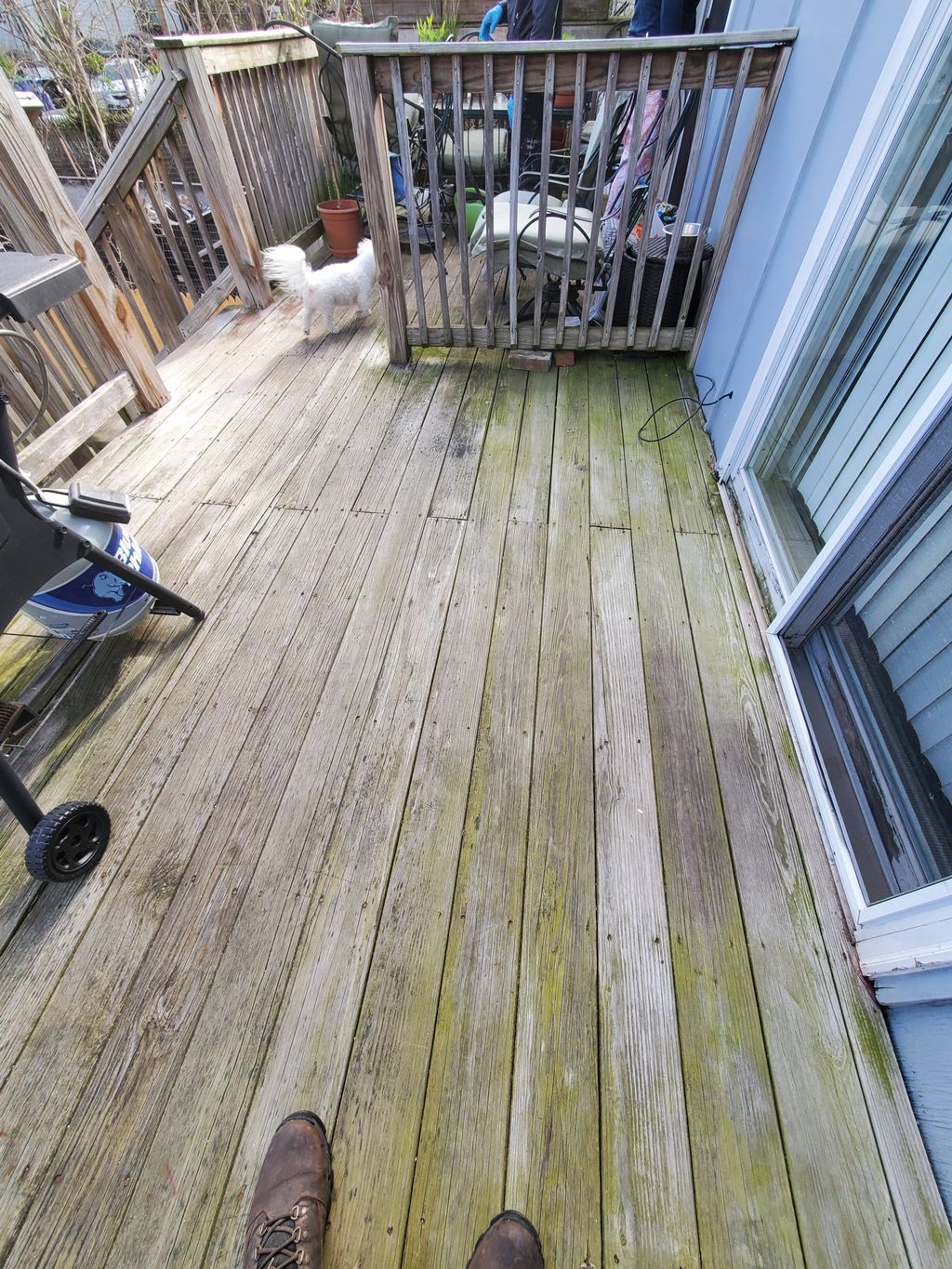 Deck Restoration 