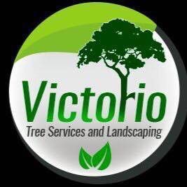 Avatar for VICTORIO TREE SERVICE & LANDSCAPING