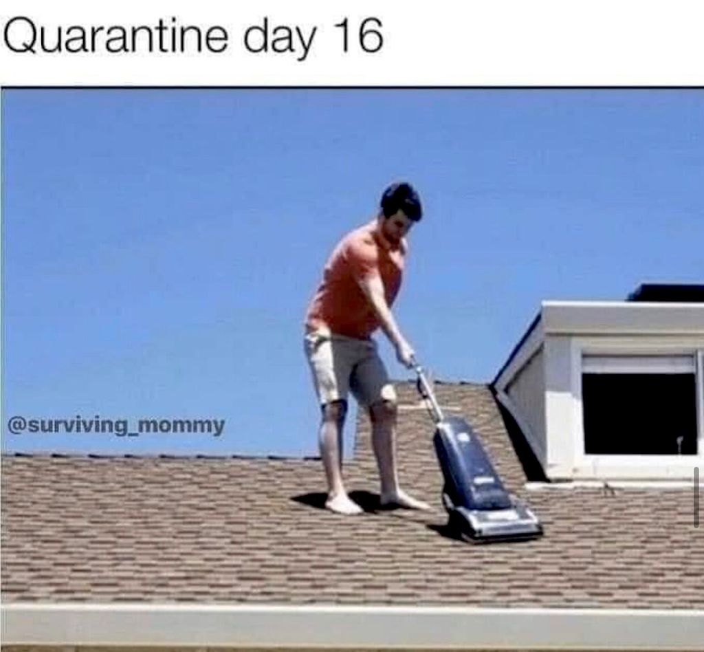 🤣🤣  my vacuumed roof 🤣🤣 - NOT