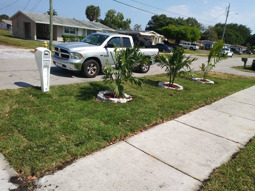 landscapimg sod installation of full lawn with tre