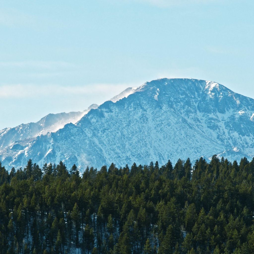 Northern Productions