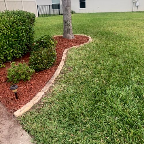 Excellent mulching and brick edge laying job. Prof