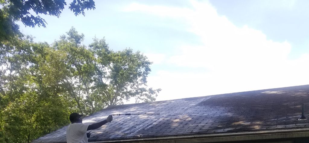 Durning  soft wash roof wash