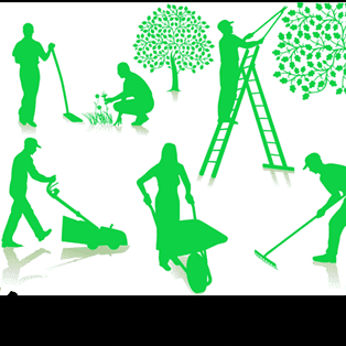 Avatar for All Around Lawn and Landscaping