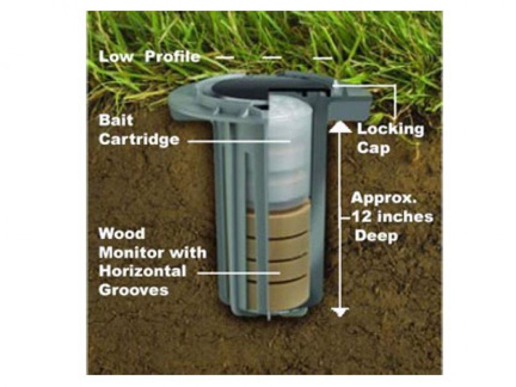 Advanced Termite Monitoring