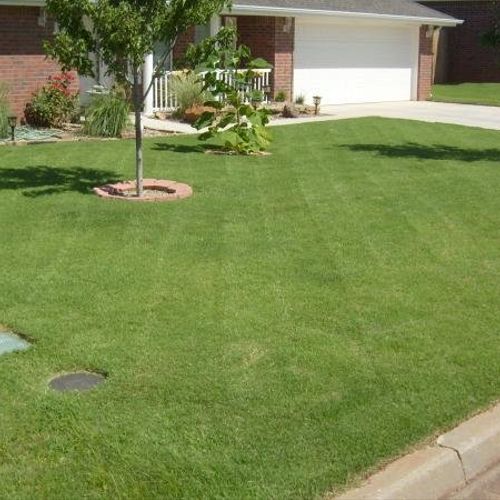 Tackle lawn services did an amazing job on my law.
