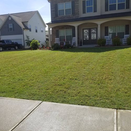 William and his team did a great job on my lawn. H
