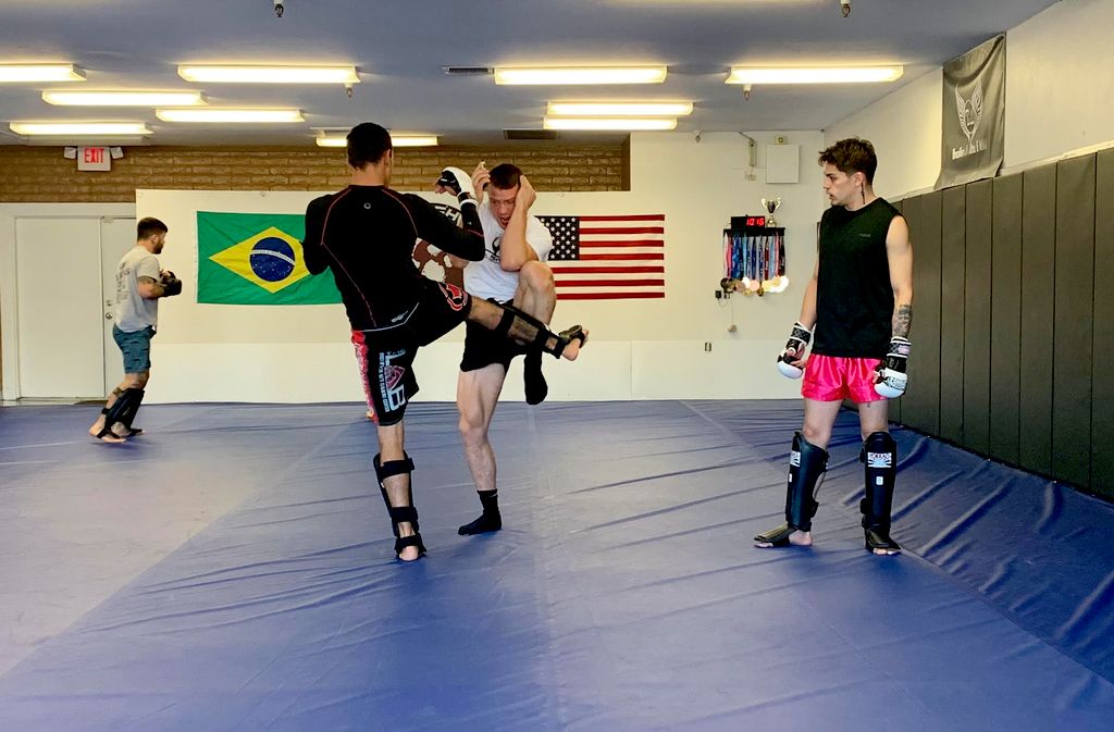 MMA Coaching