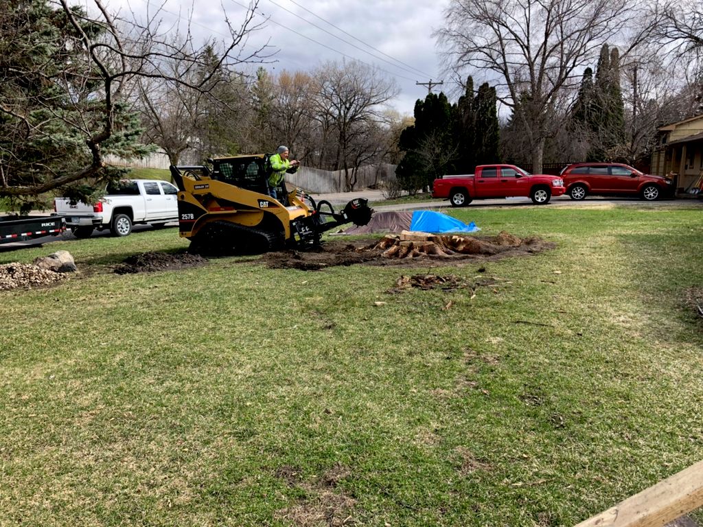 Dwayne removed a huge stump from my front yard and