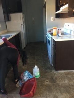 Team Member at Work