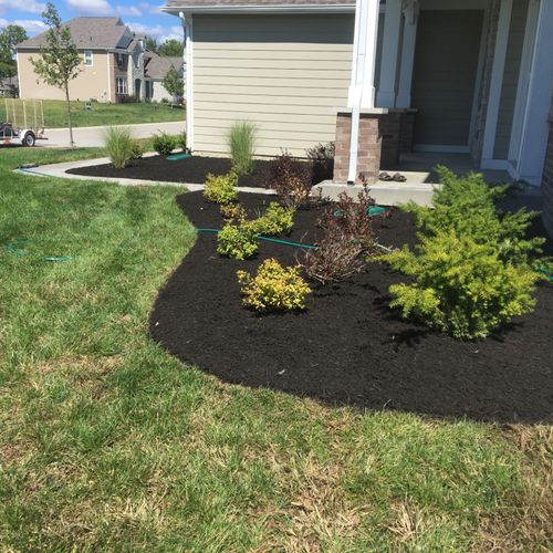 Went above and beyond  . Mulch looks great . Highl