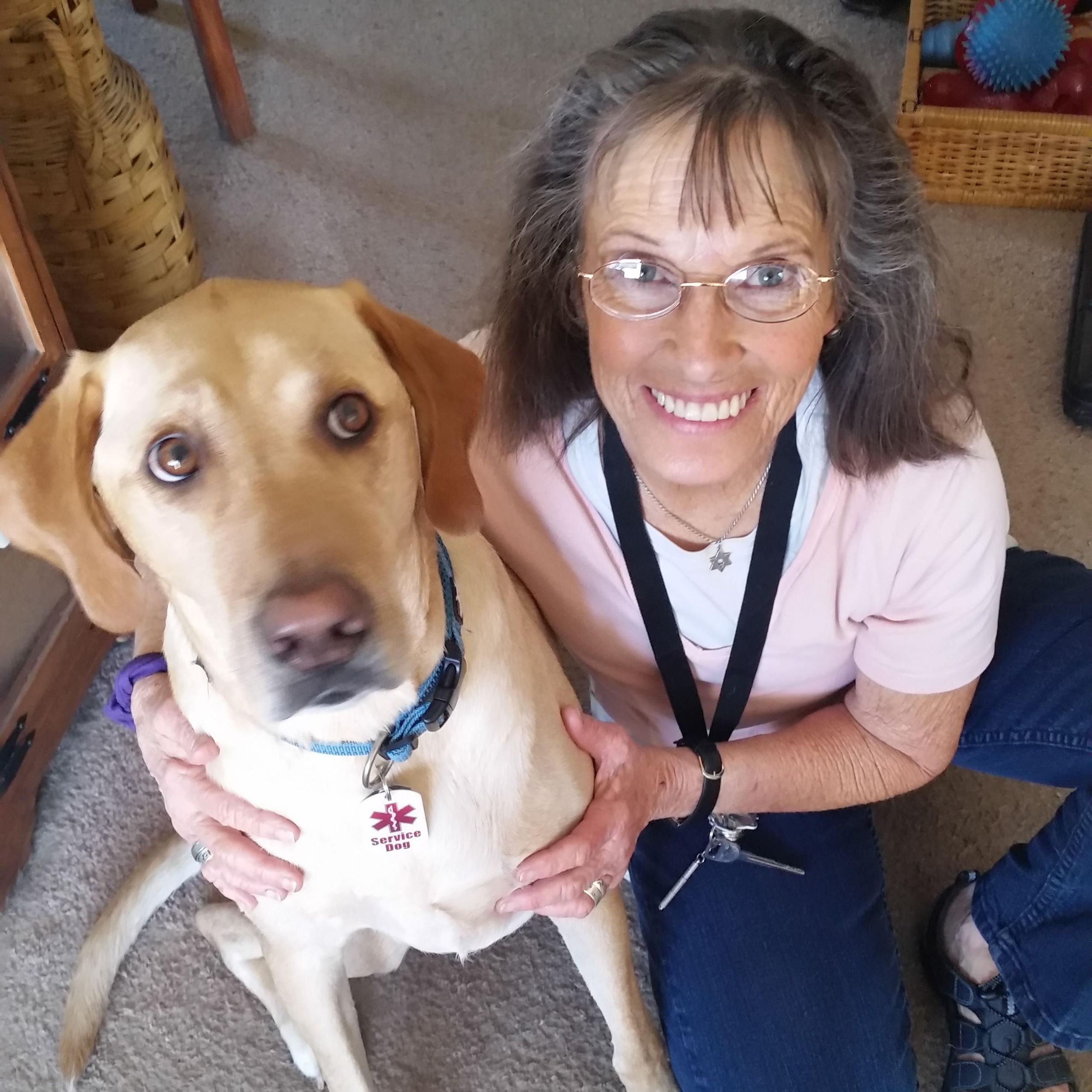 Best Friends Dog Training Behavior & Evaluations Colorado Springs, CO