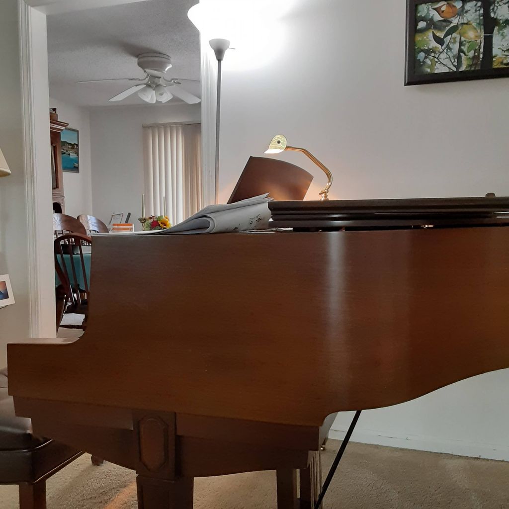 Piano lessons and accompaniment.