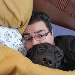 pro avatar