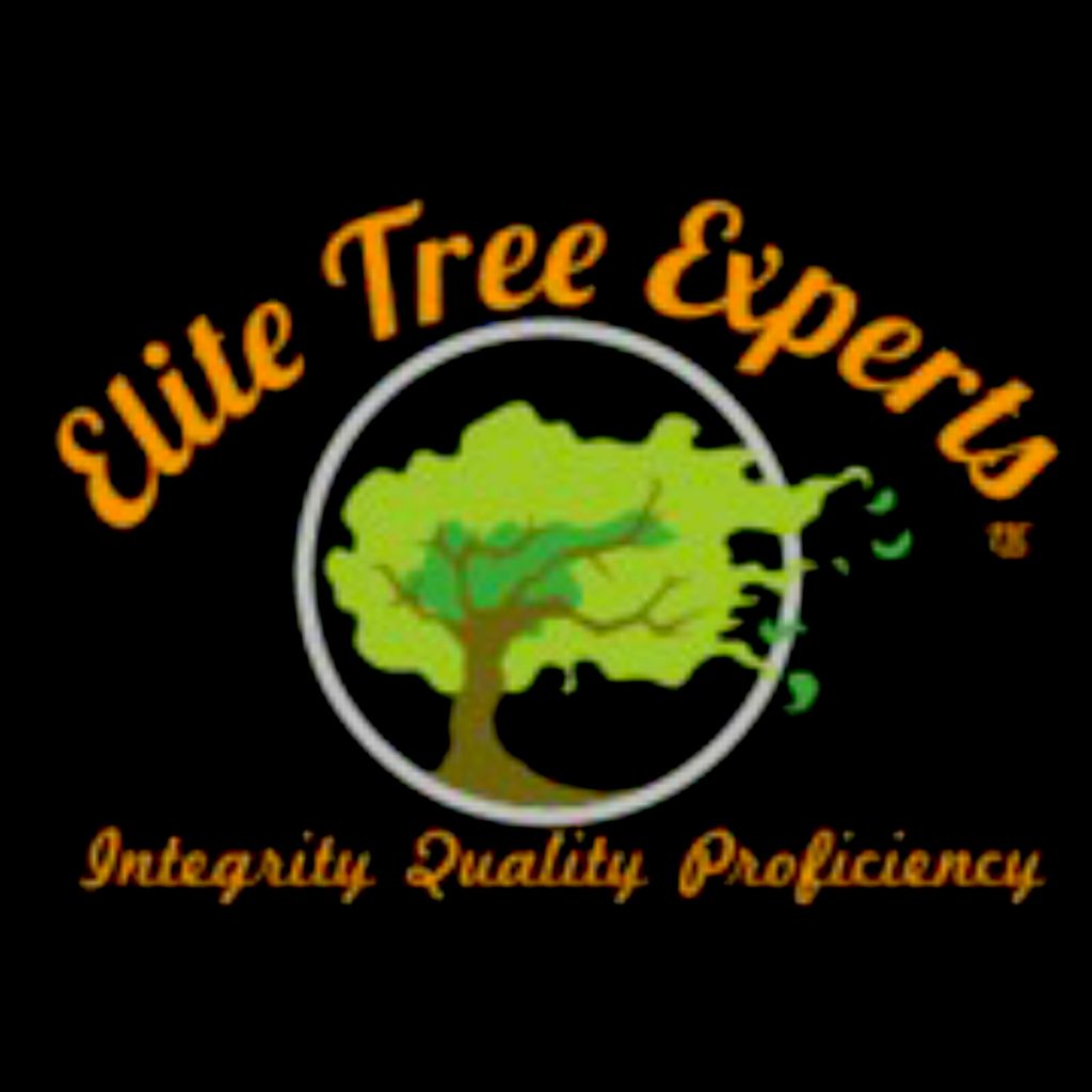 Elite Tree Experts LLC