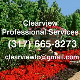 Clearview Professional Services
